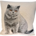 Poszewka gobelinowa kot brytyjski 45x45
