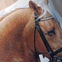 Poszewka gobelinowa koń 45x45