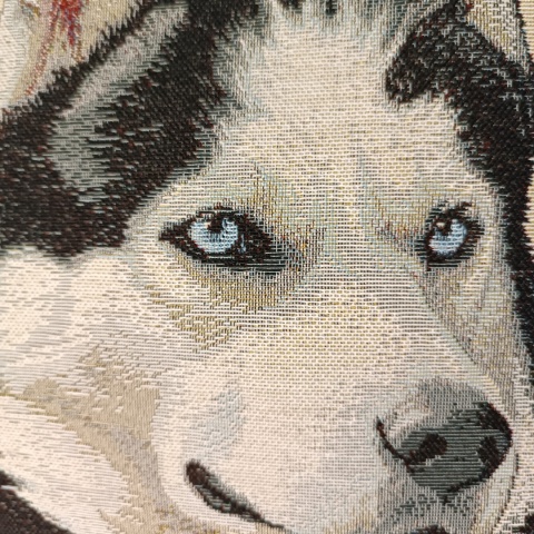 Poszewka gobelinowa husky 45x45