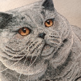 Poszewka gobelinowa kot brytyjski 45x45