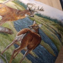 Poszewka gobelinowa jelenie 45x45